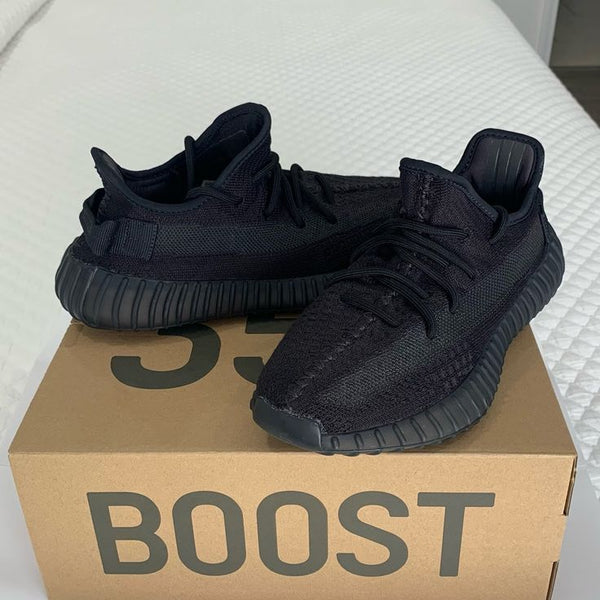 Adidas yeezy boost 350 v2
