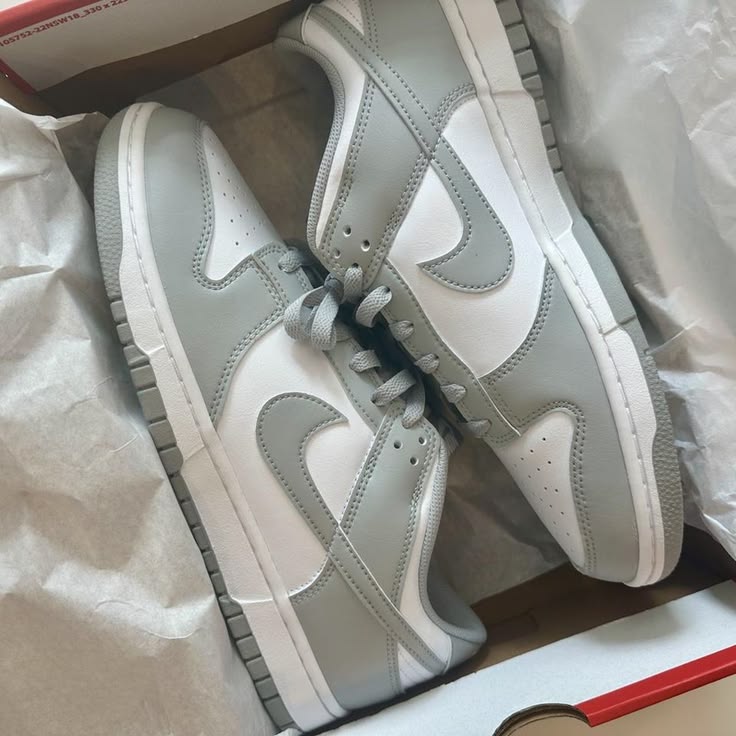 Nike dunk low retro